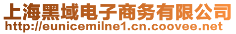 上海黑域電子商務有限公司