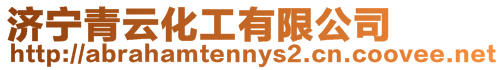 濟寧青云化工有限公司