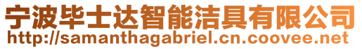 寧波畢士達(dá)智能潔具有限公司