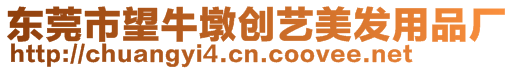 東莞市望牛墩創(chuàng)藝美發(fā)用品廠