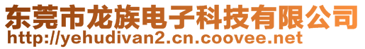 東莞市龍族電子科技有限公司