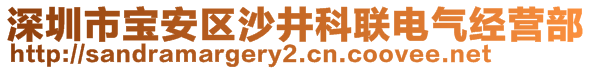 深圳市宝安区沙井科联电气经营部