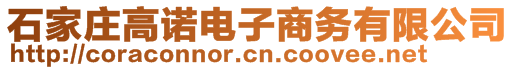 石家莊高諾電子商務有限公司