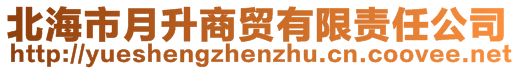 北海市月升商貿(mào)有限責任公司