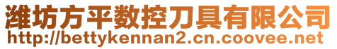 濰坊方平數(shù)控刀具有限公司