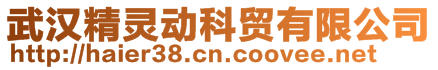 武漢精靈動科貿有限公司