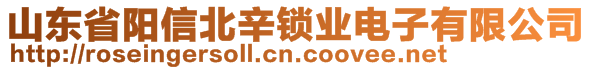 山東省陽信北辛鎖業(yè)電子有限公司