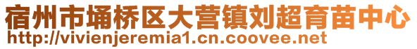 宿州市埇橋區(qū)大營鎮(zhèn)劉超育苗中心