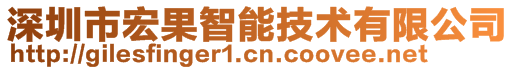 深圳市宏果智能技術有限公司