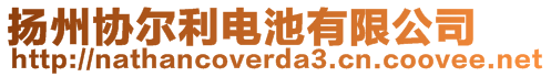 揚州協(xié)爾利電池有限公司