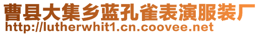 曹縣大集鄉(xiāng)藍孔雀表演服裝廠