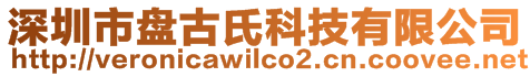 深圳市盤古氏科技有限公司