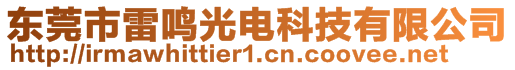 東莞市雷鳴光電科技有限公司