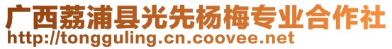 廣西荔浦縣光先楊梅專業(yè)合作社