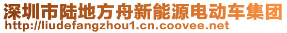 深圳市陸地方舟新能源電動車集團