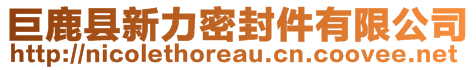 巨鹿縣新力密封件有限公司