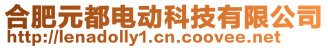 合肥元都電動科技有限公司