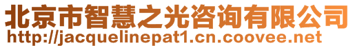 北京市智慧之光咨询有限公司