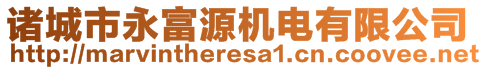 諸城市永富源機電有限公司