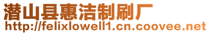 潜山县惠洁制刷厂