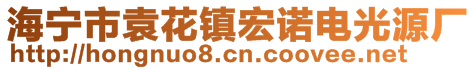 海寧市袁花鎮(zhèn)宏諾電光源廠