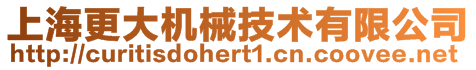 上海更大機械技術有限公司