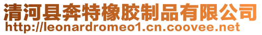 清河縣奔特橡膠制品有限公司
