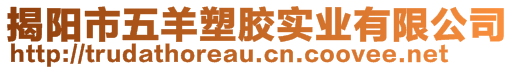 揭陽市五羊塑膠實(shí)業(yè)有限公司