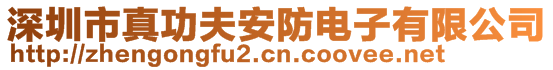 深圳市真功夫安防電子有限公司