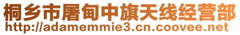 桐鄉市屠甸中旗天線經營部