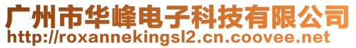 廣州市華峰電子科技有限公司