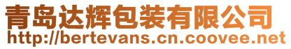 青島達(dá)輝包裝有限公司