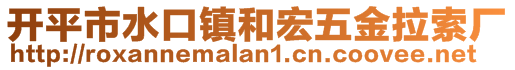 開平市水口鎮(zhèn)和宏五金拉索廠