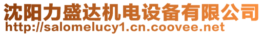 沈陽力盛達機電設備有限公司