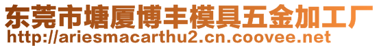 東莞市塘廈博豐模具五金加工廠