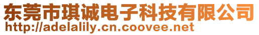 東莞市琪誠電子科技有限公司