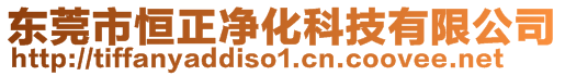 東莞市恒正凈化科技有限公司