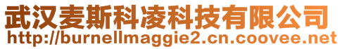 武漢麥斯科凌科技有限公司