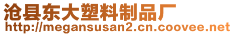 滄縣東大塑料制品廠