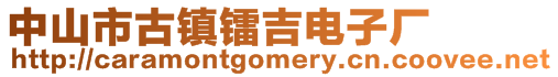 中山市古鎮(zhèn)鐳吉電子廠