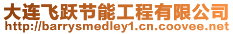 大連飛躍節(jié)能工程有限公司