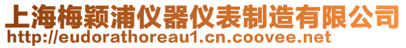 上海梅穎浦儀器儀表制造有限公司