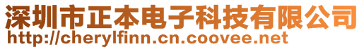 深圳市正本电子科技有限公司