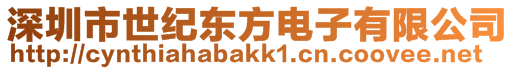 深圳市世紀東方電子有限公司