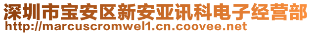 深圳市宝安区新安亚讯科电子经营部