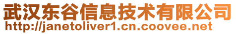 武漢東谷信息技術有限公司