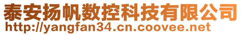 泰安揚帆數控科技有限公司