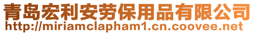 青岛宏利安劳保用品有限公司