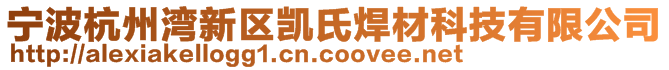 寧波杭州灣新區(qū)凱氏焊材科技有限公司