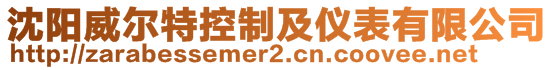 沈陽威爾特控制及儀表有限公司